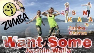 'Want Some | Jasmin Walia | Zumba | Dance Fitness | Choreo by Aksana'