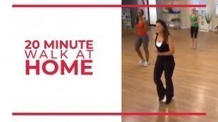 '20 Minute Walk at Home Exercise | Fitness Videos'