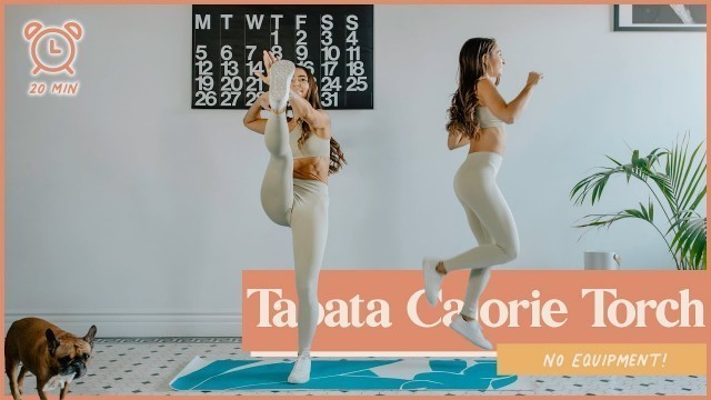 '20-Minute Intense Calorie Torch AT HOME Workout (Tabata)'