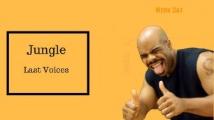 'Jungle - Lost Voice - Werk Dat Dance Fitness'