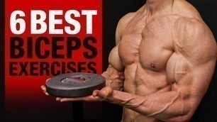 '6 BEST Biceps Exercises (DON’T SKIP THESE!!)'