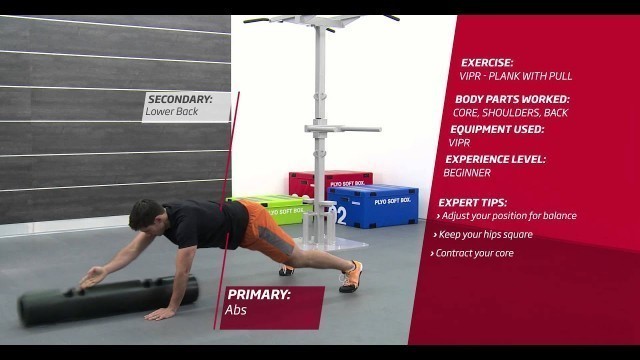 'Fitness First Freestyle exercise - ViPR Plank with Pull - ViPR'