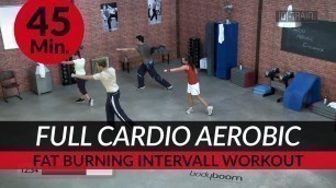 '45 Min. Intense Cardio Aerobic Workout for Pure and Efficient Fat Burning by Dr. Daniel Gärtner ©'