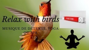 'Relax with birds; musique de détente, yoga ou spa 