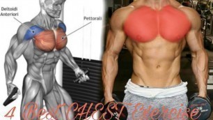'The Best CHEST EXERCISE |The PERFECT CHEST WORKOUT (BODY FITNESS)'
