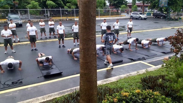'Physical Fitness Test Push up