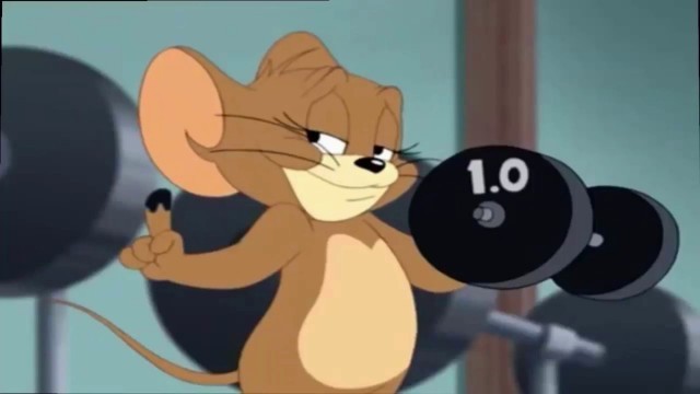 'Tom and Jerry Cartoons Funny Cartoon Going Gym'