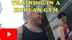 'Training In A Korean Gym'