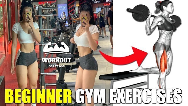 'FEMALE FITNESS | BEGINNER GYM EXERCISES EXPLAINED | FULL BODY WORKOUT'