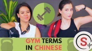 '\"Do You Even Lift?\" Gym and Workout Terms in Mandarin Chinese - Skritter Chinese'