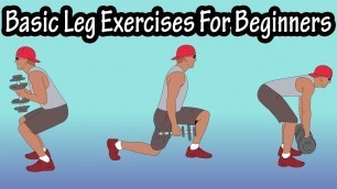 'Basic Leg Exercises For Beginners For Women For Men - Different Types Of Leg Workout Exercises'