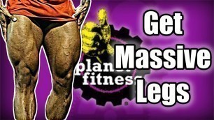 'Planet Fitness Leg Workout | 4k'