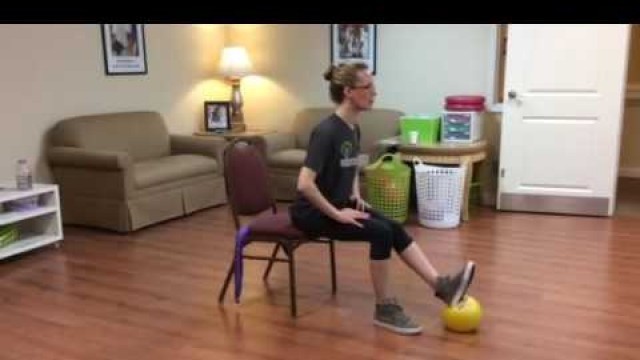 'Senior Seated Ball & Band Group Fitness Class | Section 2 | Ball'
