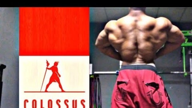 'Colossus in the Zone / Flex Fitness irondale Alabama'