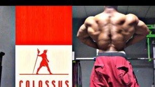 'Colossus in the Zone / Flex Fitness irondale Alabama'