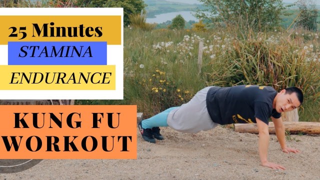 '25 Min Intense Full Body Kung Fu Workout - Take your Fitness STAMINA & ENDURANCE to the NEXT LEVEL 