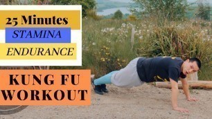 '25 Min Intense Full Body Kung Fu Workout - Take your Fitness STAMINA & ENDURANCE to the NEXT LEVEL 