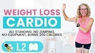 '20 Minute Weight Loss Low Impact CARDIO Workout 