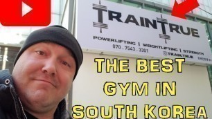 'Train True: The Best Gym In Korea'