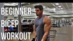 'Beginner Bicep Workout - 5 Simple Exercises'