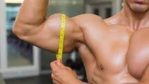 'Biceps Workout |Fitness | Biceps Exercises'