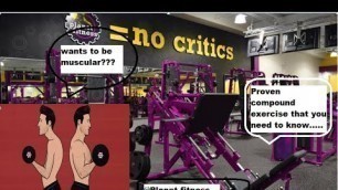 'Basic exercises for beginners in planet fitness  