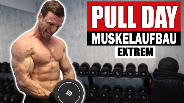 '20 Min. PULL DAY Workout für Zuhause mit Kurzhanteln | Rücken, Bizeps - Sascha Huber'