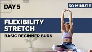 BEGINNERS | 30 MIN | FLEXIBILITY STRETCH WORKOUT | NO EQUIPMENT | DAY 5 OF 30