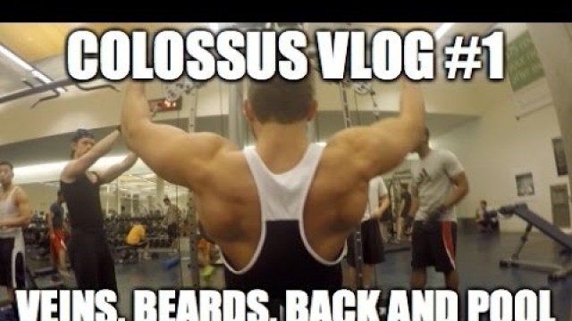 'GOPRO HERO 4 SILVER - AESTHETICS AND VEINS (Colossus VLOG 1)'