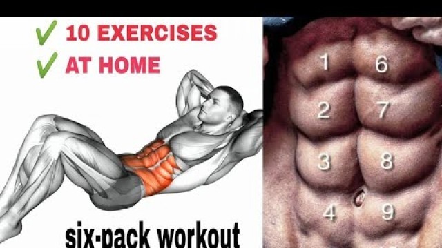 'BEST 10 ABS EXERCISES HOME WORKOUT'