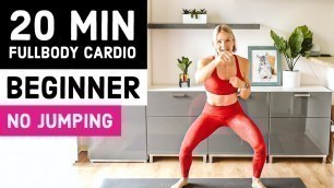 NO JUMPING 20 Min Beginner Full Body FAT BURN Workout (Apartment Friendly, No Equipment)