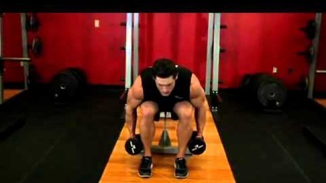 'Seated Bent Over Rear Delt Raise Omuz Hareketi Nasıl Yapılır - FitnessProgrami.com'