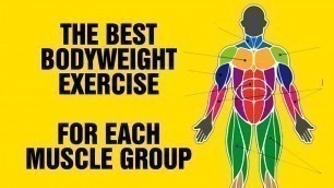 'The Best Bodyweight Exercise For Each Muscle Group - Calisthenic Exercises'