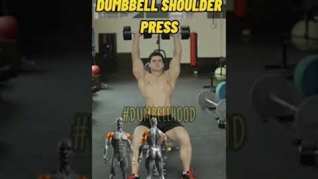 'Omuz Hareketi- How To Do Dumbbell Shoulder Press ? Oturarak Omuz Press Nasıl Doğru Yapılır ?'