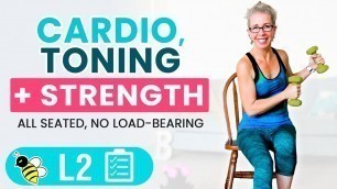25 Minute SEATED Cardio, Toning + Strength Workout | BURN 200 Calories