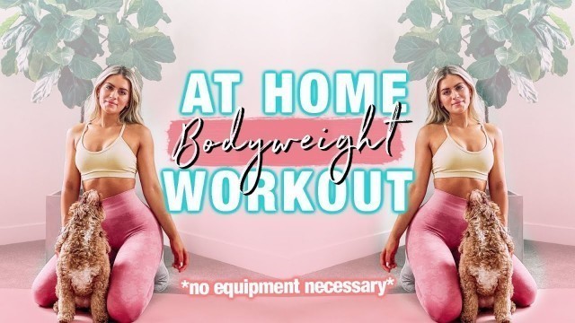 25 MINUTE HOME WORKOUT! NO EQUIPMENT